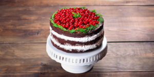 christmas-cake-new-year-dessert-chocolate-baking